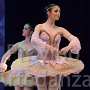 Classico_4624