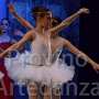 Classico_5714