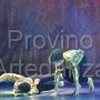 moderno_8573