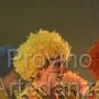 moderno_9182
